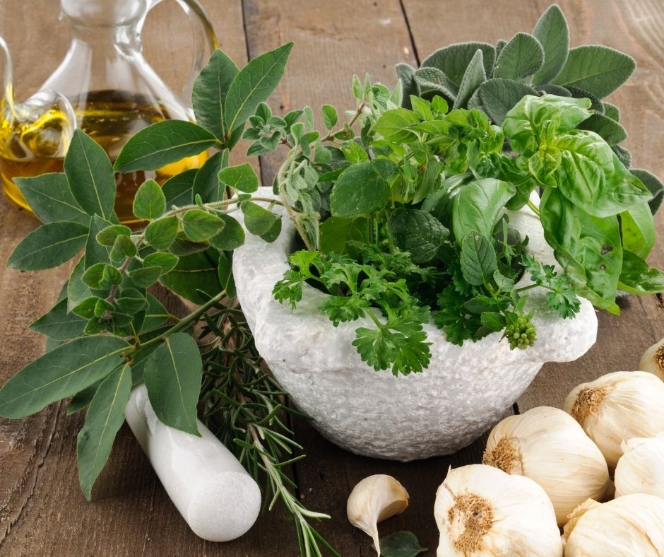Condimente și ierburi aromatice – ce beneficii au? - partea a II a