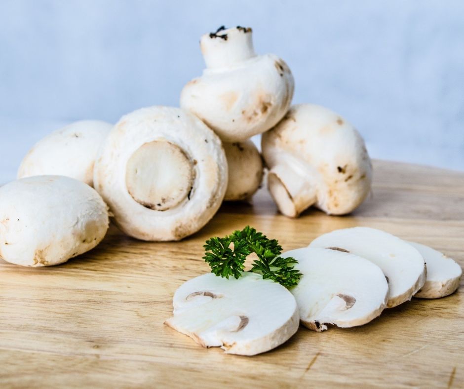 Ciuperci champignon