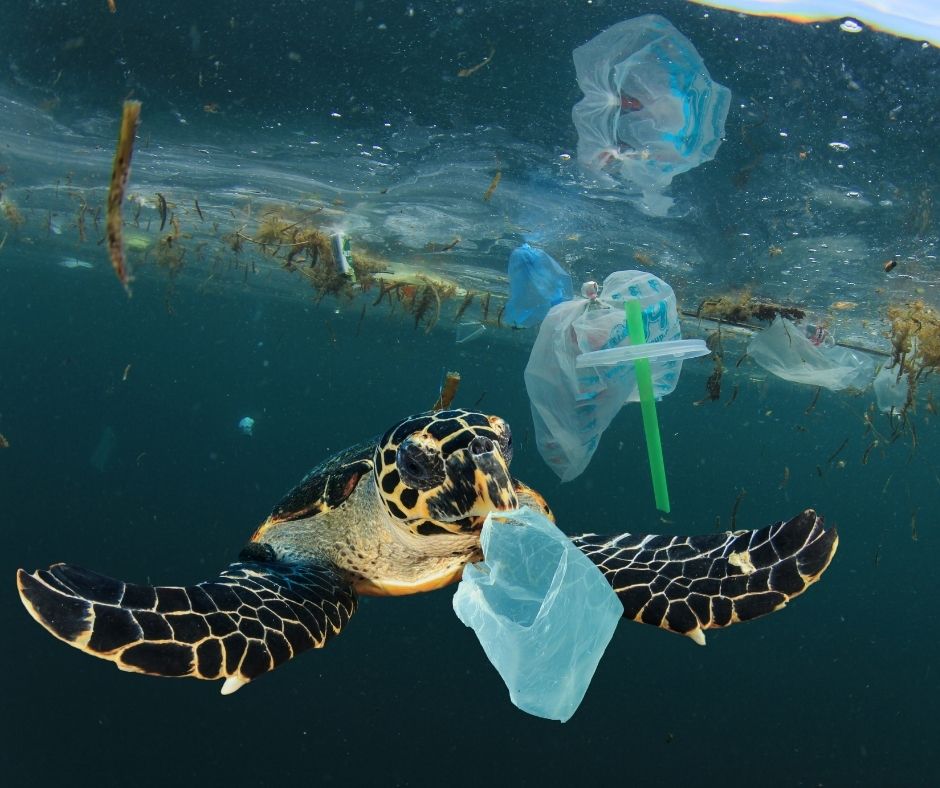 De ce un iulie fara plastic?