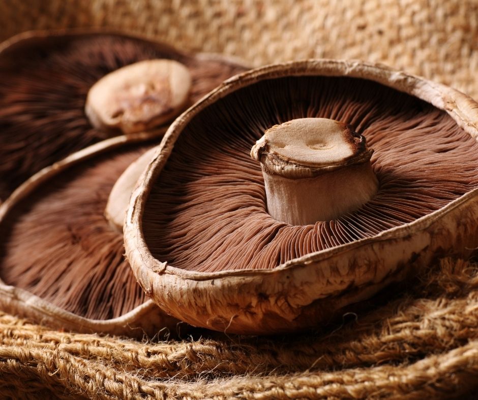 Salata vegana cu ciuperci portobello marinate